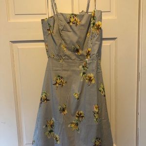 Fit and form summer dress